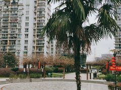 -新江花园