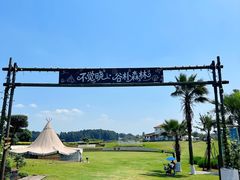 -空港花田景区