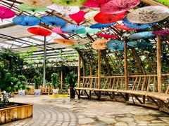 -泰山花样年华景区