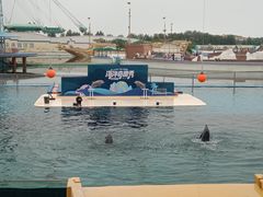 -秦皇岛乐岛海洋王国