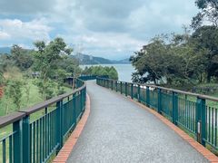 -日月潭