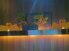 -江南足纪·影院足道·轻奢SPA(笋岗HALO广场店)