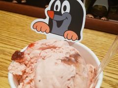 Gelato意式手工冰淇淋巧克力味-布拉格餐厅· 中欧捷克菜(全国首店)