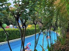 -重庆海昌加勒比海水世界