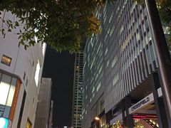 -秋叶原电器街