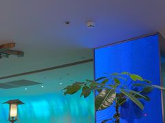 -桂满陇·蟹黄小笼汤包(巴黎春天浦建店)