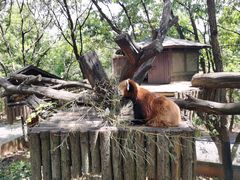 -云南野生动物园