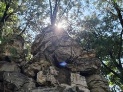 -莲池书院博物馆