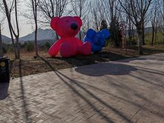 -西部长青自然儿童乐园