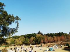 -牛岗山公园