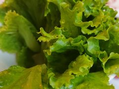 -君邦火锅(新疆大厦店)