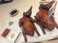 非遗红烧乳鸽-侨美食家·粤菜(体育西路店)