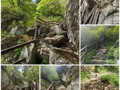 -王顺山国家森林公园