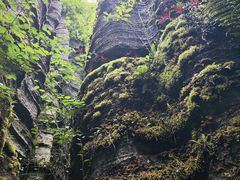 -梭布垭石林景区