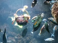 -海合安青岛极地海洋公园
