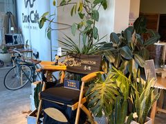 -Dinoo 片场咖啡(酒仙桥店)