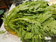 茼蒿-鑫隆四季涮肉(八角畅游店)