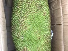 -果多美(鼓楼北街店)