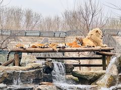 -北京野生动物园