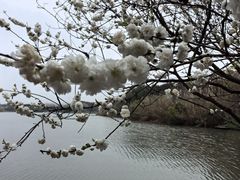 -沙家浜风景区