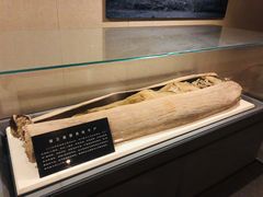 -巴音郭楞蒙古自治州博物馆