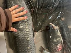 -老刘生态大鱼坊铁锅炖鱼(赛马场店)