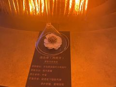 -舒小悦·舒养SPA·古法推拿(光环中心店)