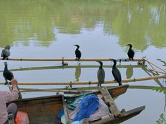 -长兴太湖图影湿地文化园