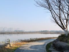 -桐乡凤凰湖