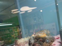 -FAELING PETS美天灵宠物(合生汇店)