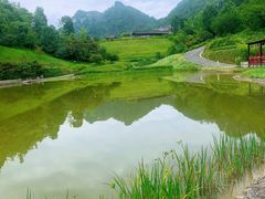 -中国黔江城市大峡谷