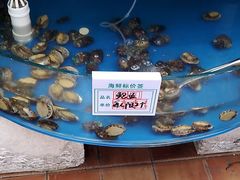 -同道蒸汽海鲜烧烤自助(刘庄夜市店)