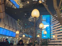 -桂满陇·海市蜃楼·黑金(国金店)