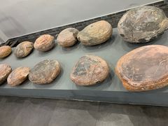 -游龙石文化科普馆