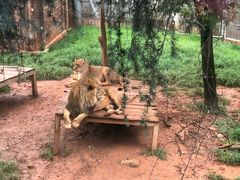 -昆明动物园
