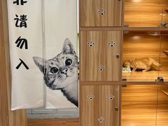 -猫十亿·布偶金渐层·曼基康矮脚猫舍(青年路店)