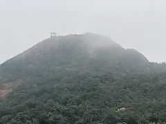 -广州市流溪河国家森林公园