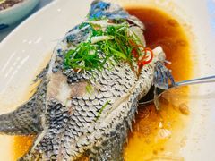 -汤臣·空中餐厅·严选粤菜(石湾世博广场店)
