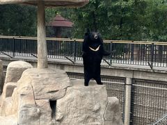 -石家庄市动物园