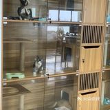 奉贤最萌的猫咪馆 