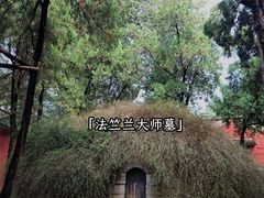 -洛阳白马寺