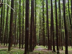 -山王坪喀斯特国家生态公园