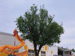 -前小桔亲子创意农场·草莓采摘·露营烧烤