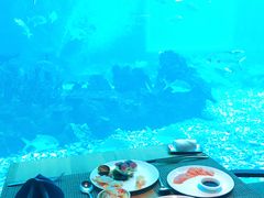 -海棠湾洲际-涛·海底餐厅·美人鱼·自助餐·海底隧道