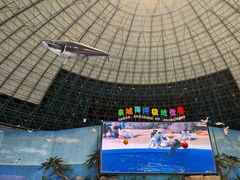 -泉城欧乐堡海洋极地世界