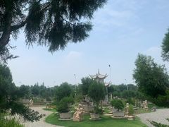 -中国唐苑