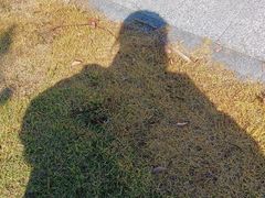 -白塘生态植物园