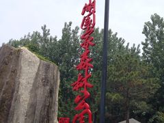 -合肥滨湖国家森林公园