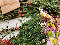 -三圣花乡旅游区