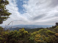-广州市帽峰山景区